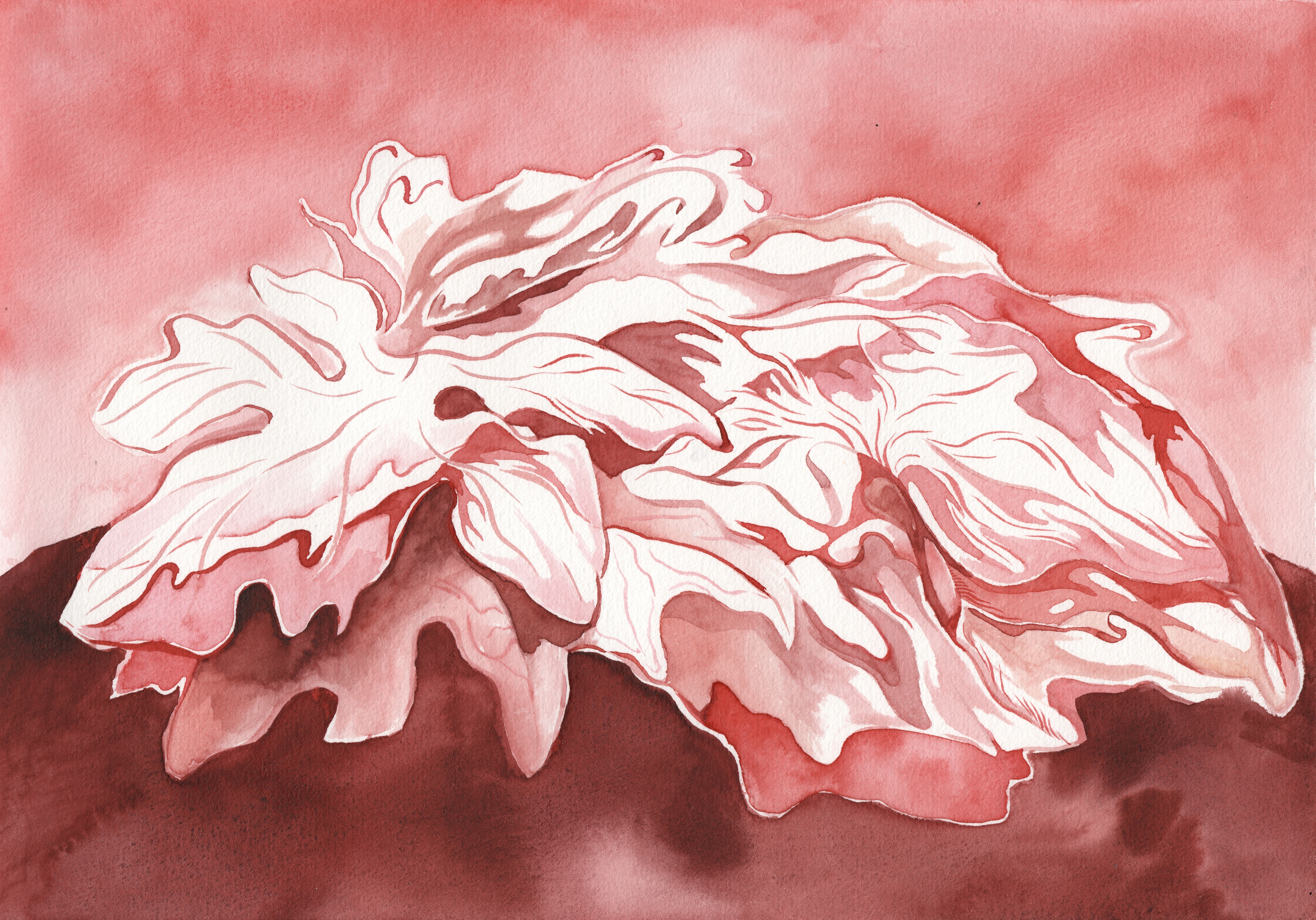 Fallen Leaves in Crimson